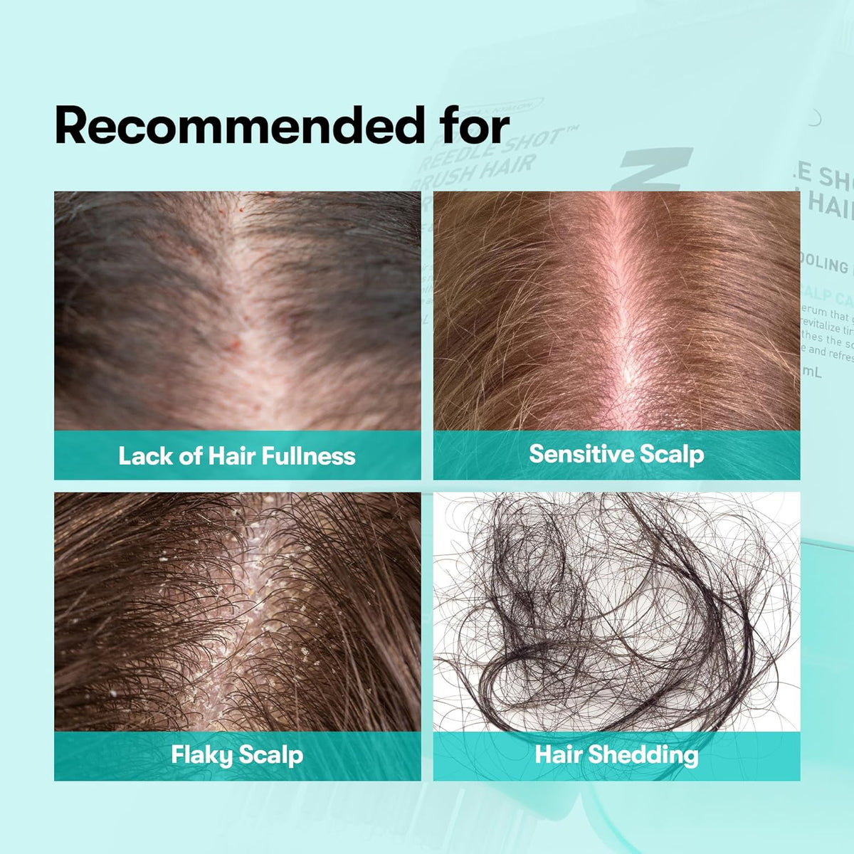 VT COSMETICS PDRN Reedle Shot Brush Hair Serum, Cooling & Refreshing Scalp Care with Vegan PDRN, Caffeine & Spicule Complex, Lightweight & Non-Greasy Daily Scalp Solution, 3.38 fl oz / 100 mL